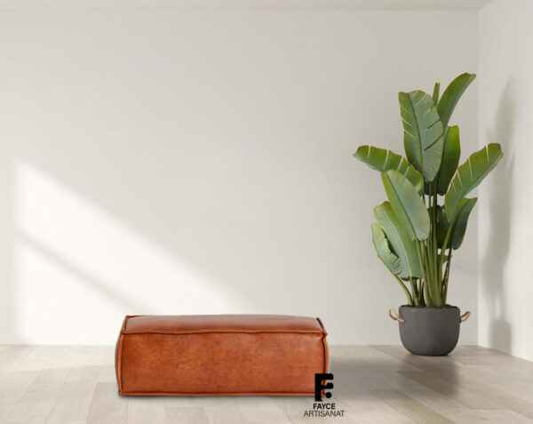 Brown Ottoman Leather pouf