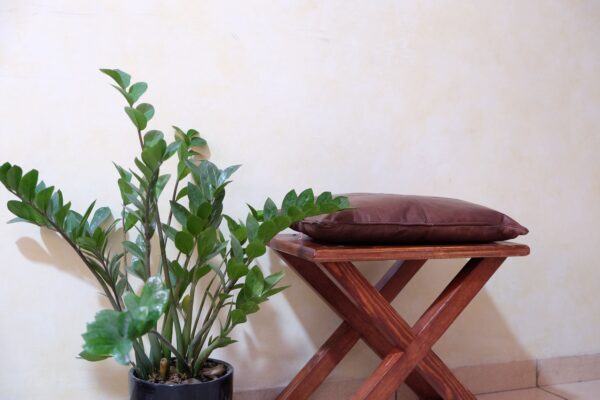 Brown leather Chair